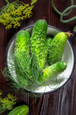 Beyaz bir kase içinde taze salatalık, rezene rustik tarzı düz ahşap koyu arka plan üzerinde üstten görünüm ile kopya alanı, Bahçe ve organik gıda kavramı yatıyordu