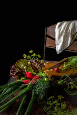 Taze sebze soğan yeşil tüy turp koyu ahşap arka plan kopya alanı ile rustik tarzda üzerinde