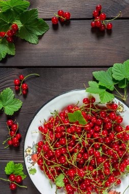 Rustik tarzı bir düz ahşap arka plan üzerinde beyaz metal bir kase içinde Frenk üzümü meyveler üstten görünüm bir kopya alanı ile yatıyordu.