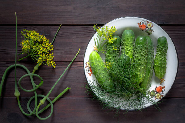 Fresh cucumber in a white bowl, fennel on a wooden dark background in a rustic style flat lay top view with copy space, concept of gardening and organic food