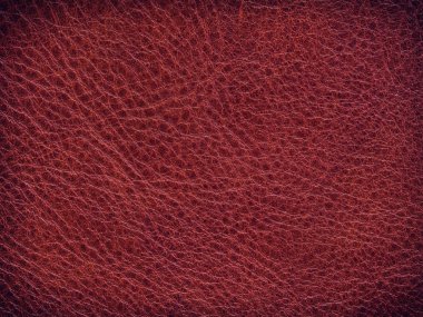 Doku Vintage deri sürüngenler trendy tarzı dekor arka plan