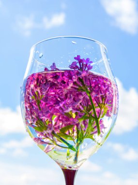 leylak çiçekli cam, yakın