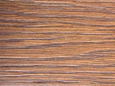 Meşe kabuğu kabartma dokusu.