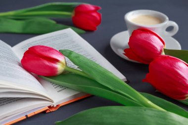  lale turkuaz gri arka plan üzerinde. Bahar çiçekleri. Sevgililer günü, kadının gün ve anneler günü.