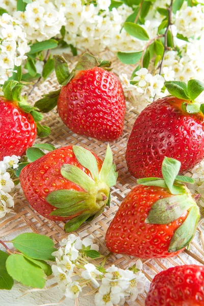 Fresh Juicy Strawberries Background White Flowers — Stock Photo, Image