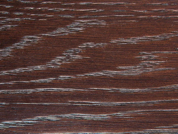 Embossed Texture Bark Oak — Stock Photo, Image