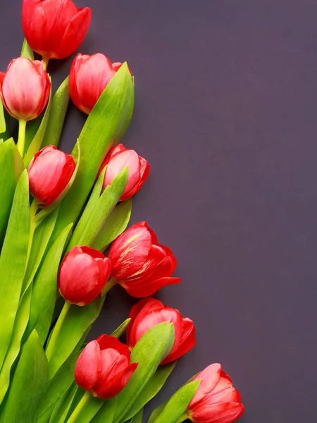 Червоні Свіжі Тюльпани Квіти Букет Темному Фоні Концепції Свята — стокове фото