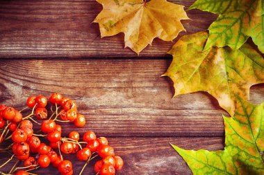 Sarı akçaağaç yaprakları ve çilek ile sonbahar arka plan. Mevsimlik teklifler ve tatil sonrası kartı için mockup, üst görünüm