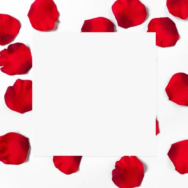 Beyaz arka plan ve dekoratif desen beyaz bir yaprak üzerinde gül yaprakları, bir tatil kartı kavramı