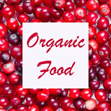 Kopya alanı ile karanlık bir arka plan üzerinde sulu olgun berry kızılcık 