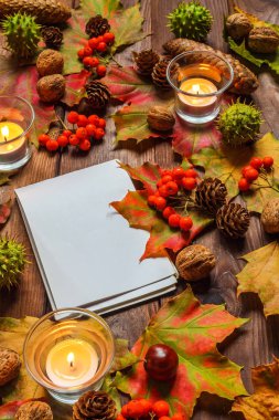 Sonbahar arkaplanı, sarı akçaağaç yaprakları, yıllanmış ahşap üzerindeki sonbahar hasat çerçevesi ve fotokopi alanı. Mevsimlik teklifler ve tatil kartpostalları için model, üst görünüm