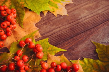 Sarı akçaağaç yaprakları ve çilek ile sonbahar arka plan. Mevsimlik teklifler ve tatil sonrası kartı için mockup, üst görünüm