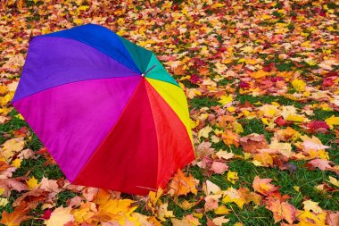 Kopya alanı ile sarı yaprakları ile bir parkta yağmur sonbahar günü sırasında çok renkli şemsiye yakın çekim, hava konsepti