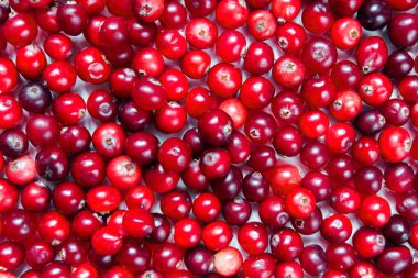 Çilek kızılcık, içecek, reçel ladin dalları, uzayın bir kopyası ile karanlık bir arka plan üzerinde koniler