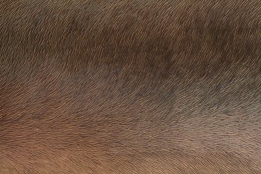 Projeler için eski vintage retro deri moda tarzı arka plan desen Doku 