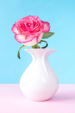 beyaz vazo güzel pembe gül