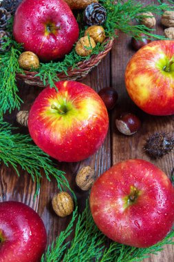 taze olgun elma ve ceviz, ahşap arka plan üzerinde koniler