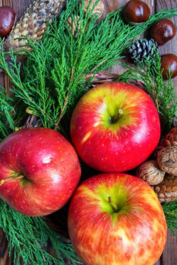 taze olgun elma ve ceviz, ahşap arka plan üzerinde koniler