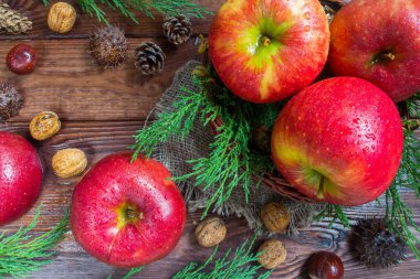 taze olgun elma ve ceviz, ahşap arka plan üzerinde koniler