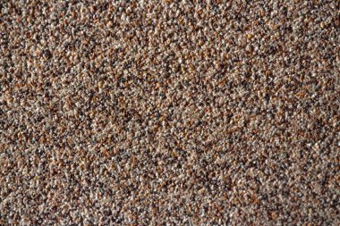 ıslak kumsal arka planı 