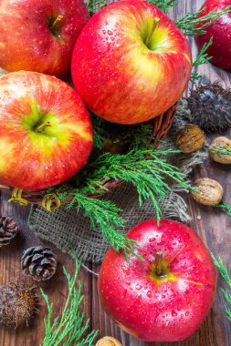 taze olgun elma ve ceviz, ahşap arka plan üzerinde koniler