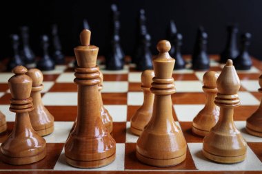 Tahta satranç tahtası ve figürler 