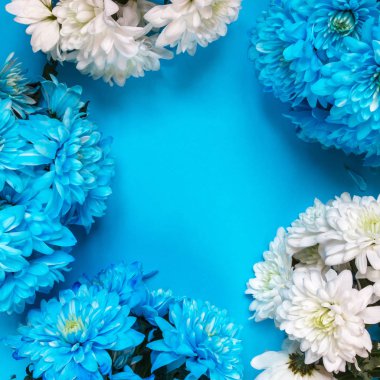 Güzel mavi ve beyaz bahar çiçekleri, yakın