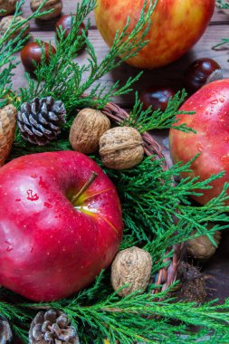 taze olgun elma ve ceviz, ahşap arka plan üzerinde koniler