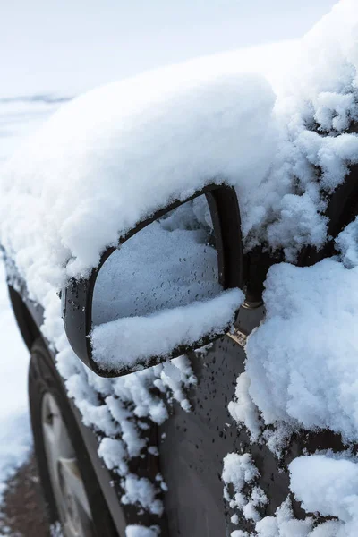 Grenar Täckta Med Snö Närbild — Stockfoto