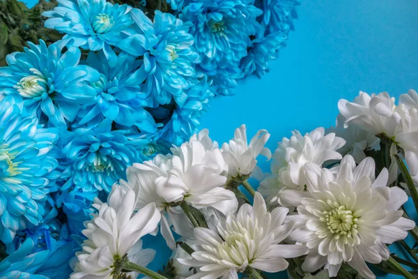 Mooie Blauwe Witte Lente Bloemen Close — Stockfoto