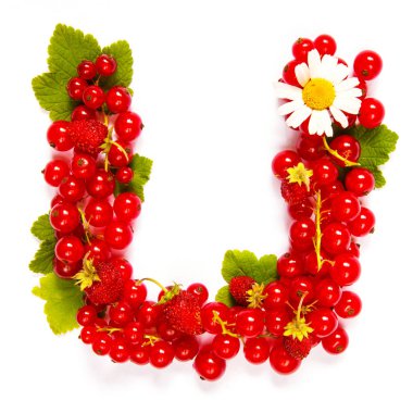 Beyaz bir arka plan üzerinde kırmızı frenk üzümü meyveleri ve beyaz çiçekler ve yaprakları bir desen şeklinde Mektup U İngilizce alfabesi 