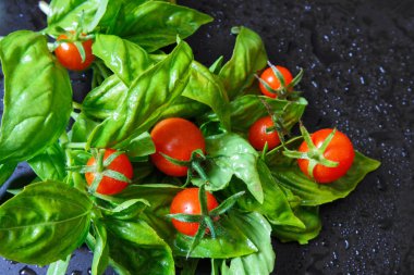 Taze sebzeler domates ve kokulu yeşillikler salata, maydanoz, karanlık bir arka planda fesleğen, vejetaryenlik kavramı ve sağlıklı yeme. Düz siyah arka plan