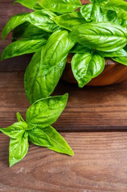 Beyaz arka planda izole edilmiş taze yeşil fesleğen yapraklarından yakın çekim. Tatlı Genovese fesleğeni