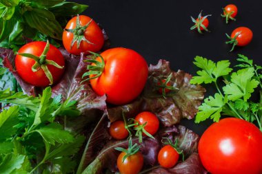 Taze sebzeler domates ve kokulu yeşillikler salata, maydanoz, karanlık bir arka planda fesleğen, vejetaryenlik kavramı ve sağlıklı yeme. Düz siyah arka plan