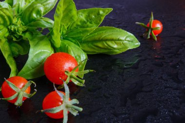 Domates ve aromatik otlar baharat maydanoz taze çeşitleri, koyu bir arka plan üzerinde dereotu, gıda arka plan, organik gıda fikri 