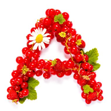 Kırmızı frenk üzümü meyveleri ve beyaz çiçekler ve beyaz bir arka plan üzerinde yaprakları bir desen şeklinde Mektup A İngiliz alfabesi 