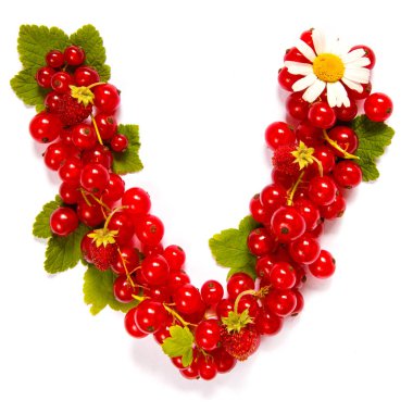 Kırmızı frenk üzümü meyveleri ve beyaz çiçekler ve beyaz bir arka plan üzerinde yaprakları bir desen şeklinde Mektup V İngilizce alfabesi 