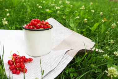 Taze sulu berry kırmızı frenk üzümü çim bir fincan. Bahçe cilik ve hasat kavramı