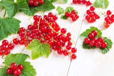 Sulu kırmızı frenk üzümü meyveleri ve hafif ahşap bir arka plan üzerinde yaprakları. Kopyalama alanı ile desen düz yatıyordu