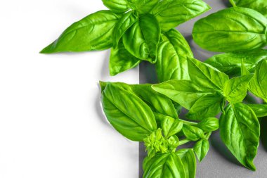 Beyaz arka planda izole edilmiş taze yeşil fesleğen yapraklarından yakın çekim. Tatlı Genovese fesleğeni