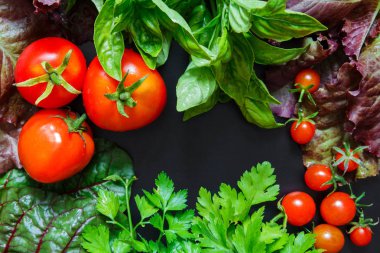 Taze sebzeler domates ve kokulu yeşillikler salata, maydanoz, karanlık bir arka planda fesleğen, vejetaryenlik kavramı ve sağlıklı yeme. Düz siyah arka plan