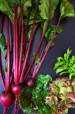 Taze sulu pancar ve kök koyu bir arka plan üst görünüm düz, tarım ve hasat kavramı