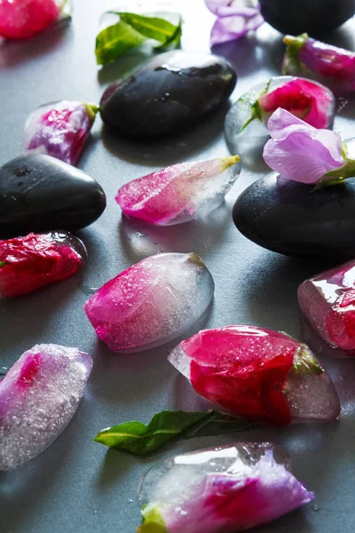 Ice cubes with frozen colorful flowers herbs and plants melting on dark stone background. Beauty, face skin care concept. Rejuvenation, ayurveda. Wellness spa.long banner