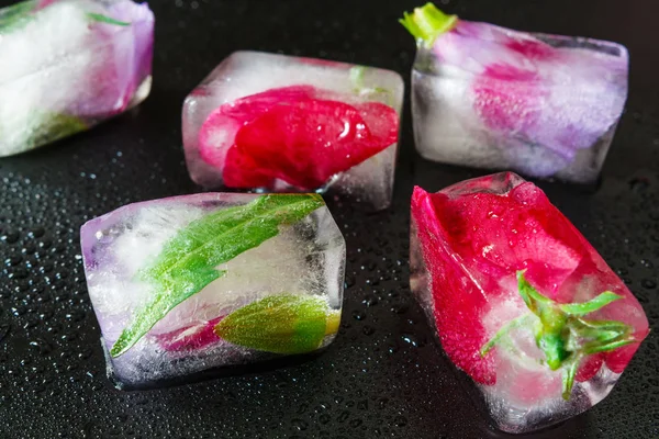 Cubos Gelo Congelado Com Flores Para Procedimentos Cosméticos Rosto — Fotografia de Stock