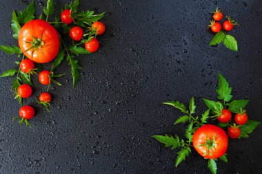 Baharat siyah bir zemin üzerine taze kiraz domates. 