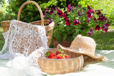 Yeşil çimenlikte sepetli piknik, kırsal tarzda bir şapka. Seyahat tatili kavramı, turizm