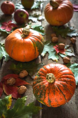 Autumn harvest of pumpkins, apples, nuts on a wooden background Autumn natural background with multi-colored oak leaves and copy space in rustic style  clipart