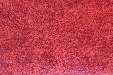 deri doku çekim, Trend arka plan