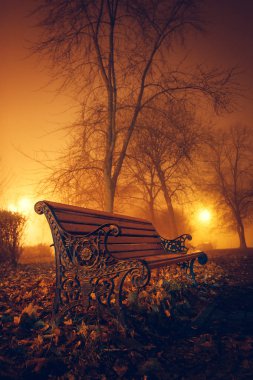 Kopya alanı, sonbahar arka plan ile bir sonbahar sisli akşam yakın çekim bir şehir parkında Bench