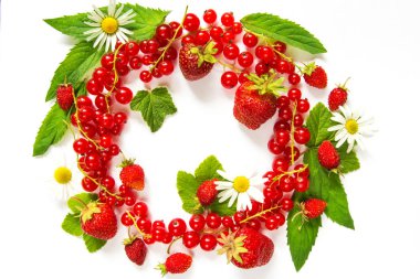 Bir çilek, kırmızı frenk üzümü, yaprakları, nane ve papatyalar bir ışık arka plan karşı meyve berry desen alanı kopyalamak için 